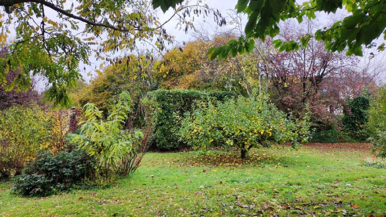  for sale house Brion-près-Thouet Deux-Sèvres 3