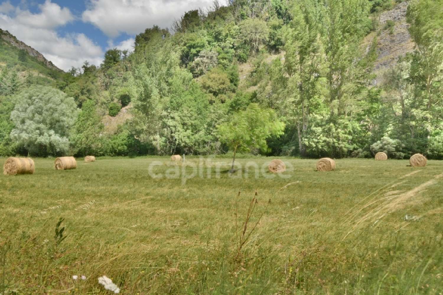 en venta casa Brusque Aveyron 3