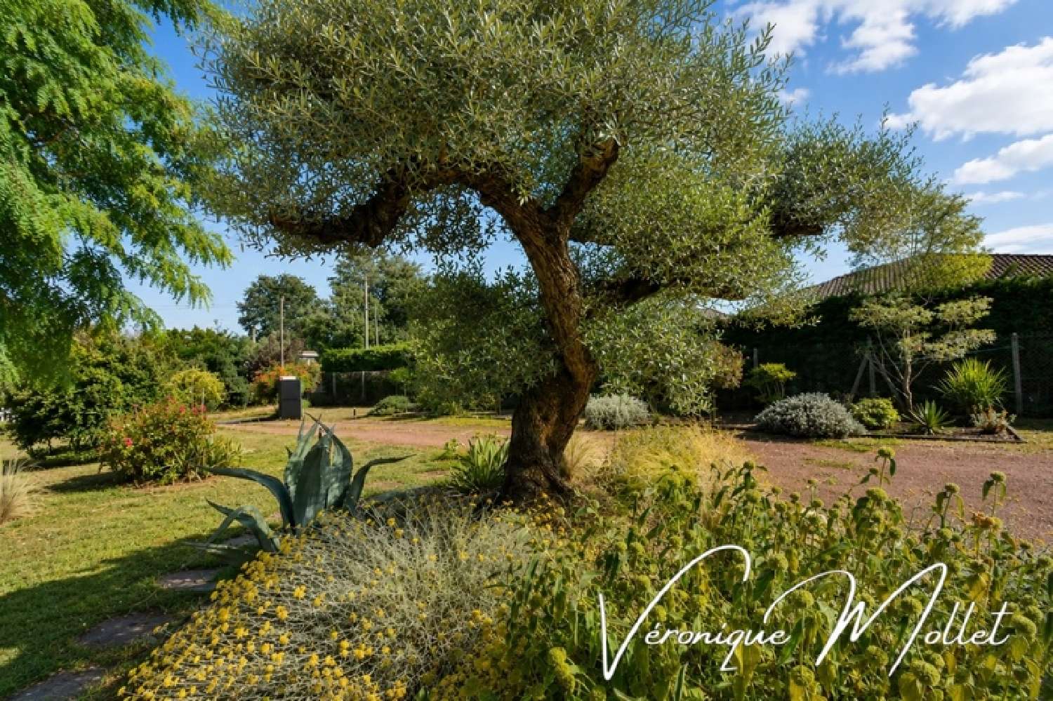 en venta casa Camblanes-et-Meynac Gironde 4
