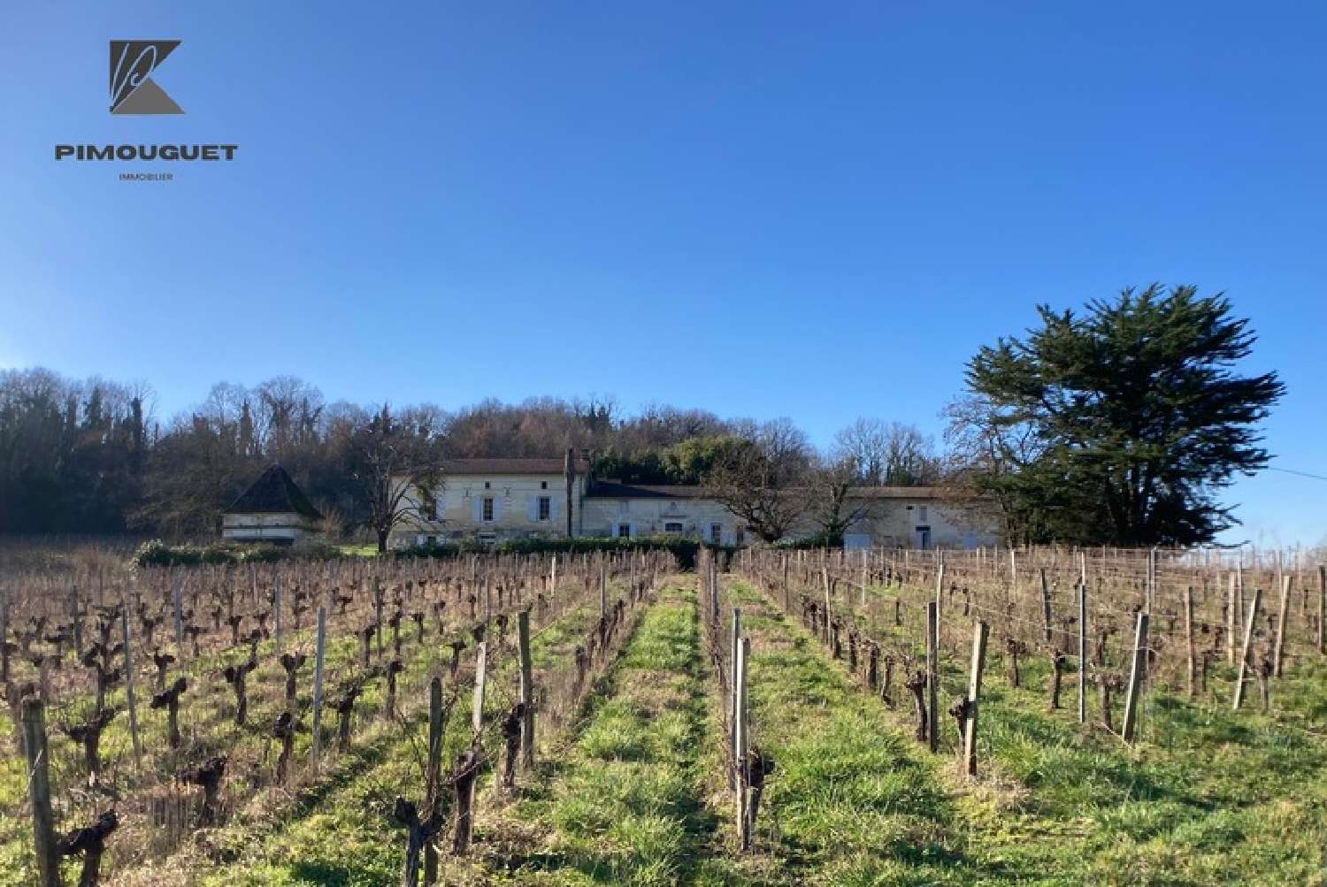  te koop huis Camiac-et-Saint-Denis Gironde 6