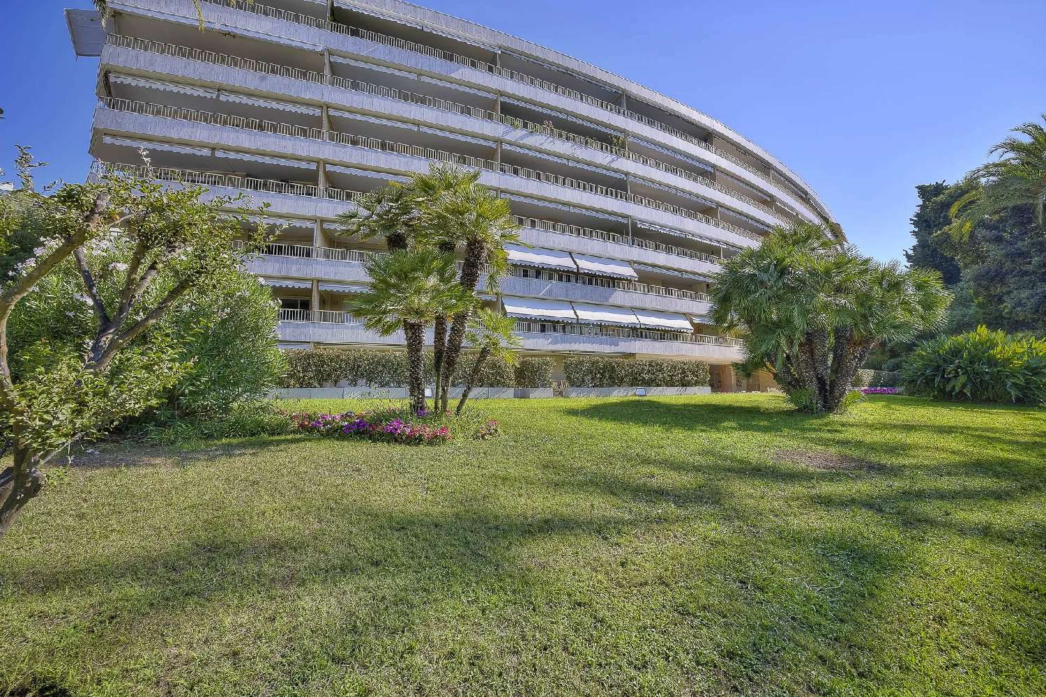 for sale house Cannes Alpes-Maritimes 2