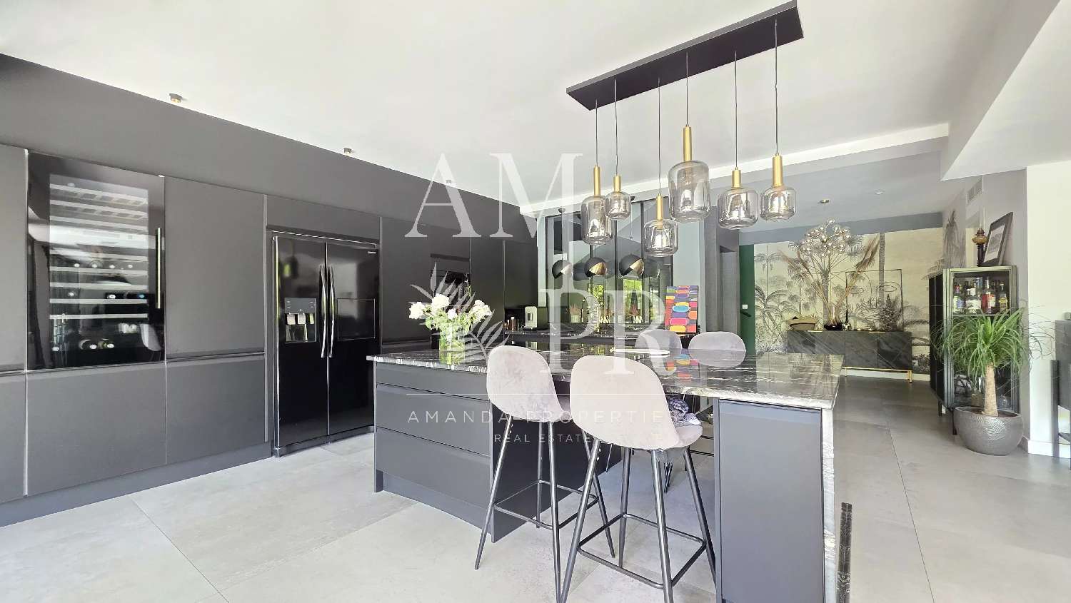 kaufen Haus Cannes Alpes-Maritimes 6