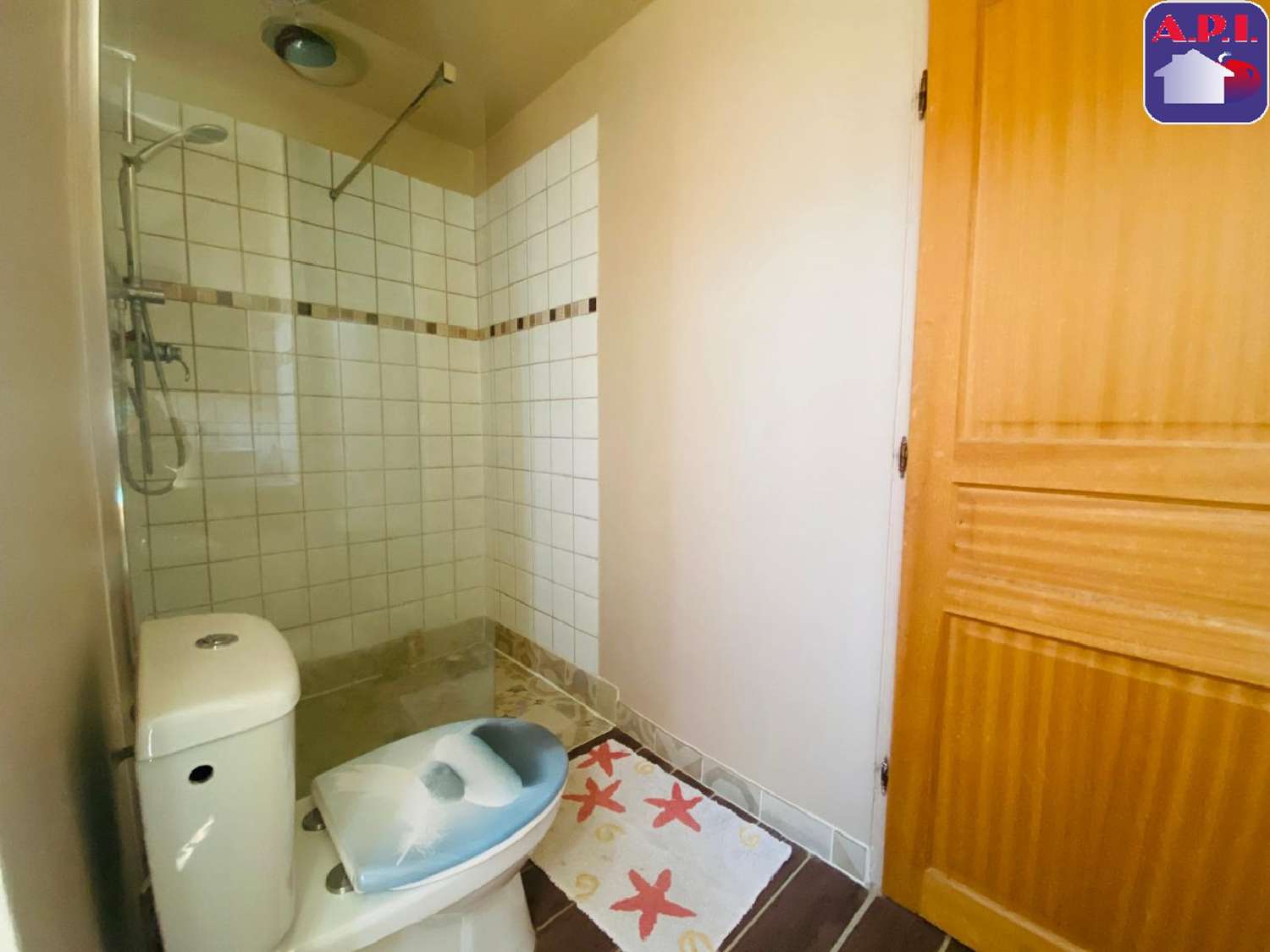  à vendre maison Carla-Bayle Ariège 8