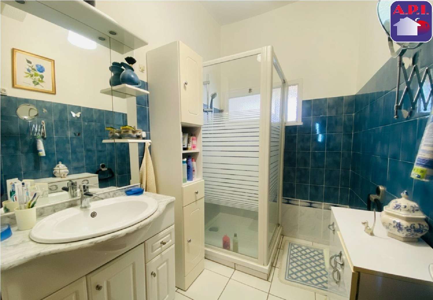  à vendre maison Carla-Bayle Ariège 5