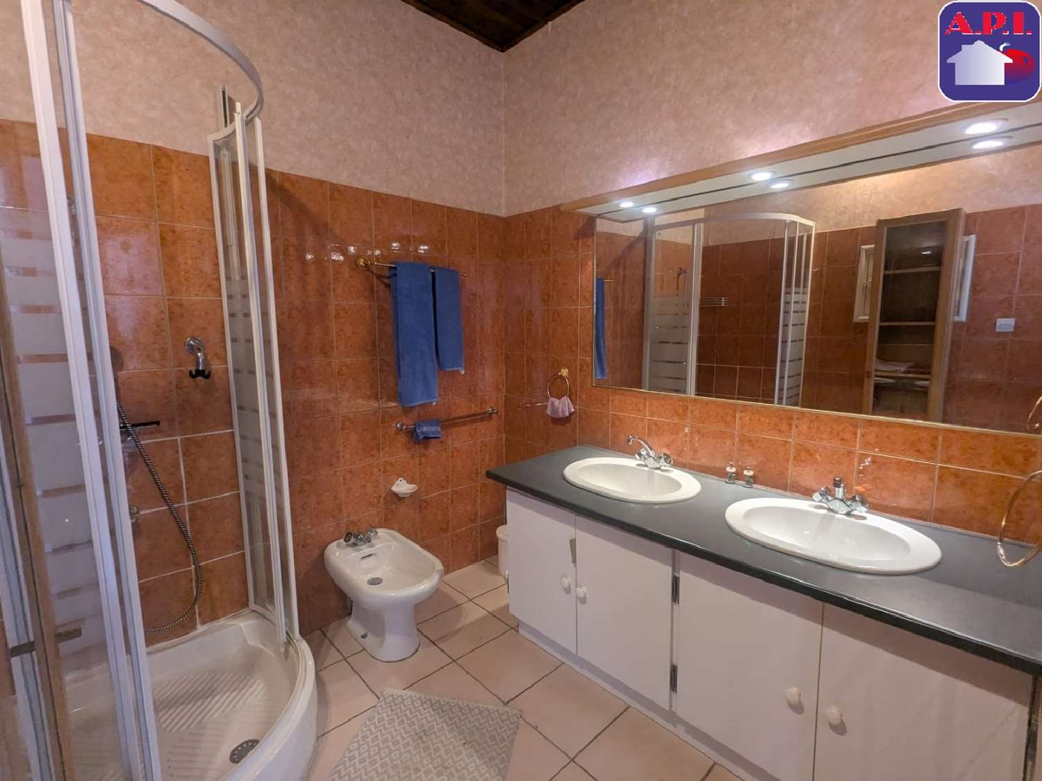  à vendre maison Castagnède Haute-Garonne 8