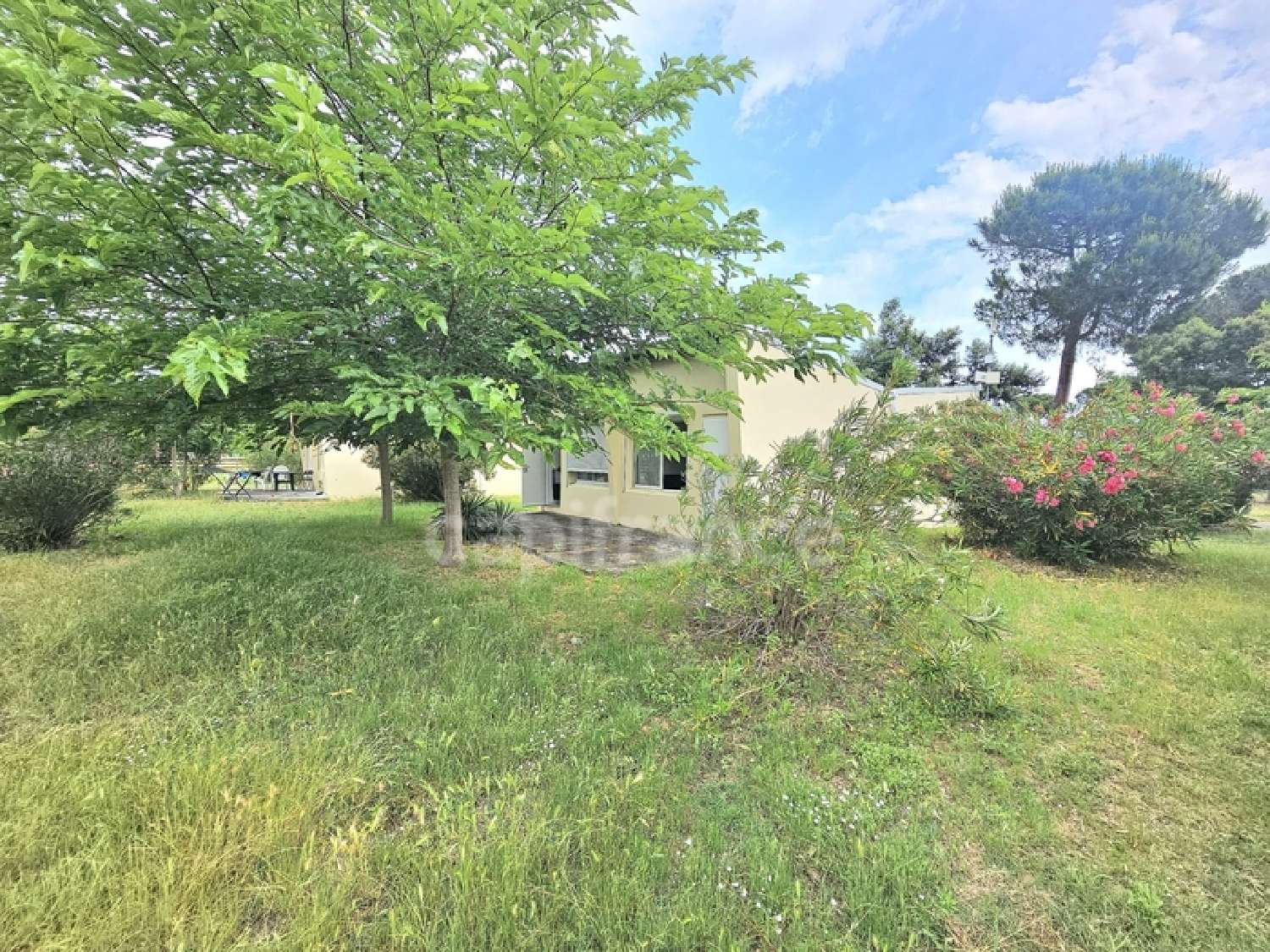  en venta casa Castellare-di-Casinca Haute-Corse 1
