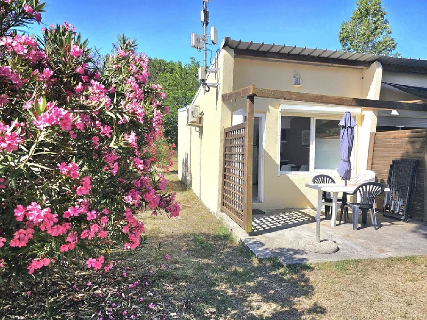  en venta casa Castellare-di-Casinca Haute-Corse 2