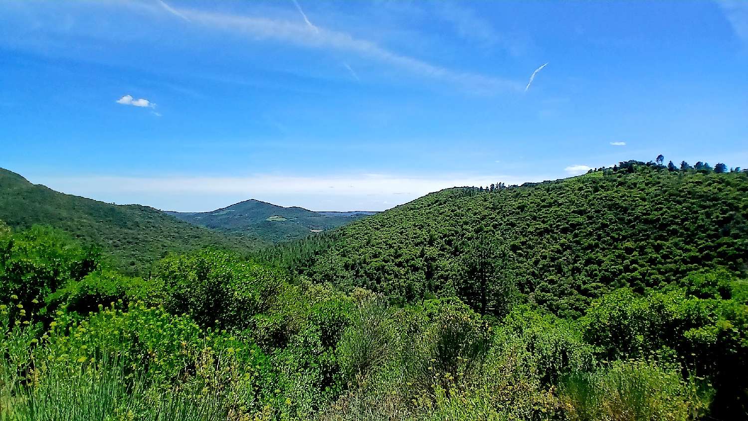 en venta casa Cazedarnes Hérault 7