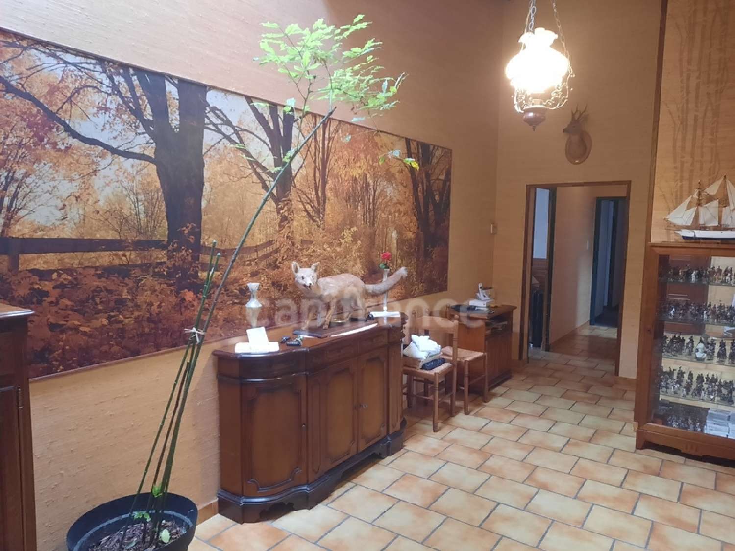 à vendre maison Cestayrols Tarn 6