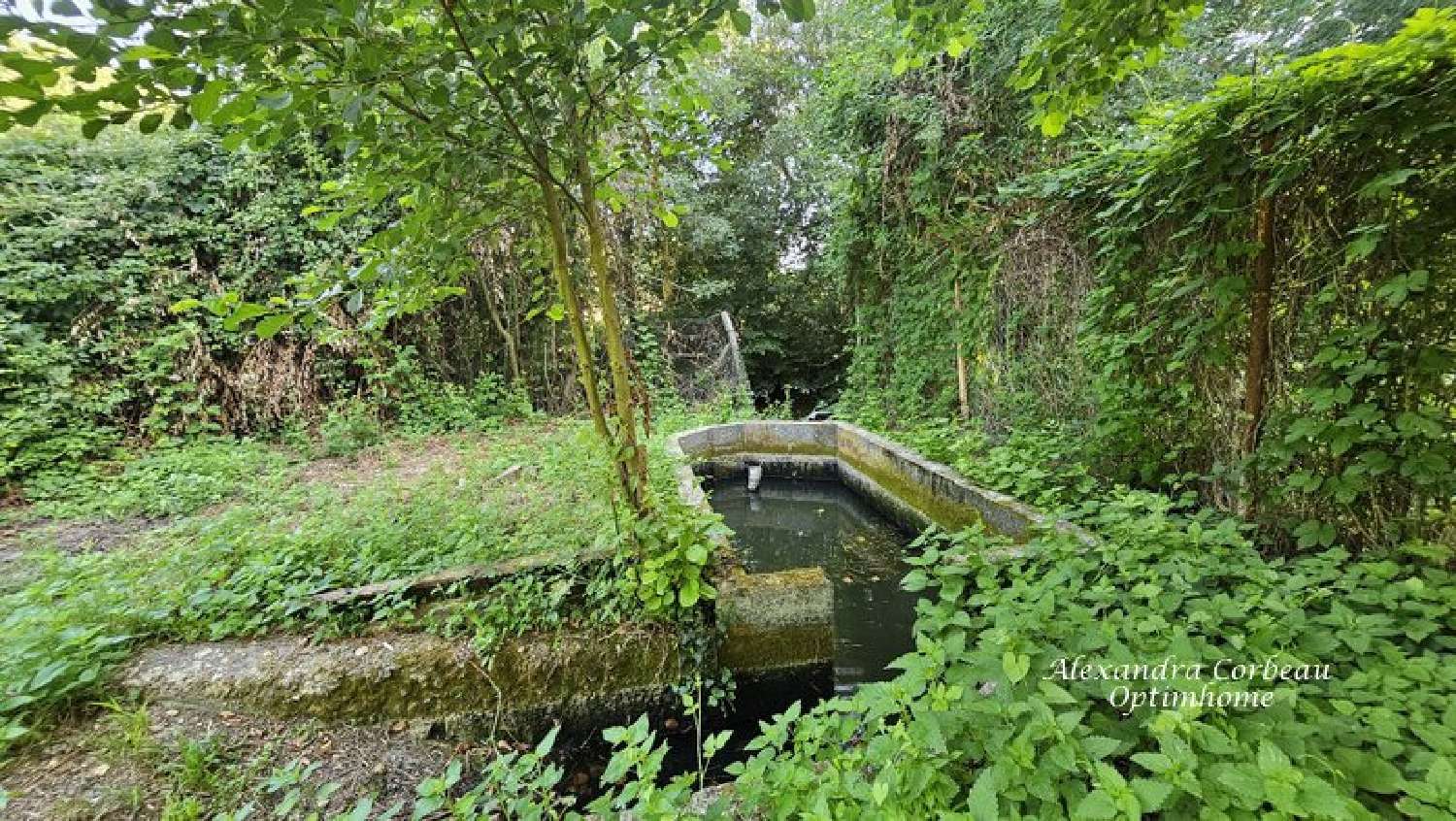  for sale house Chavaignes Maine-et-Loire 4