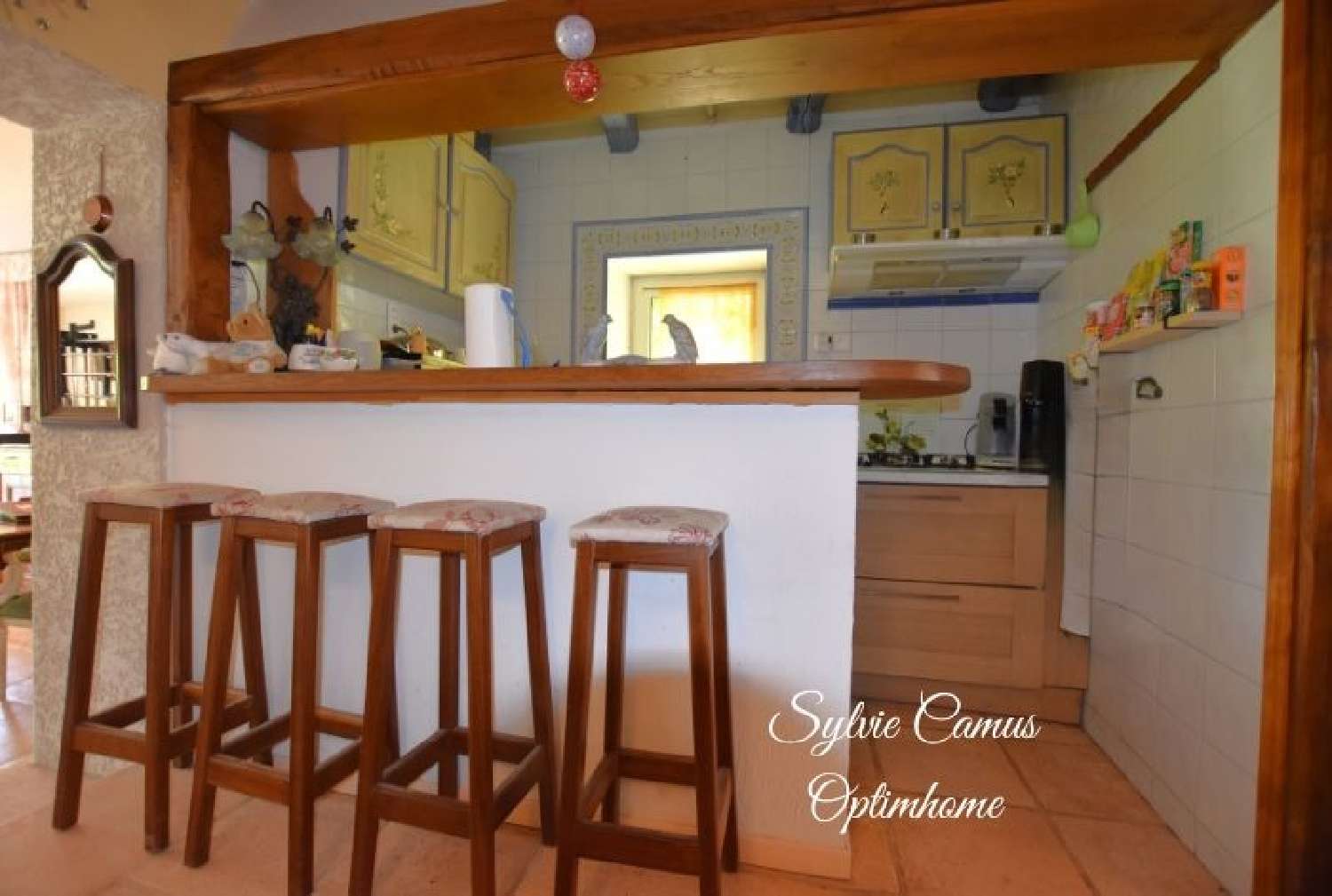 kaufen Haus Chazey-sur-Ain Ain 8