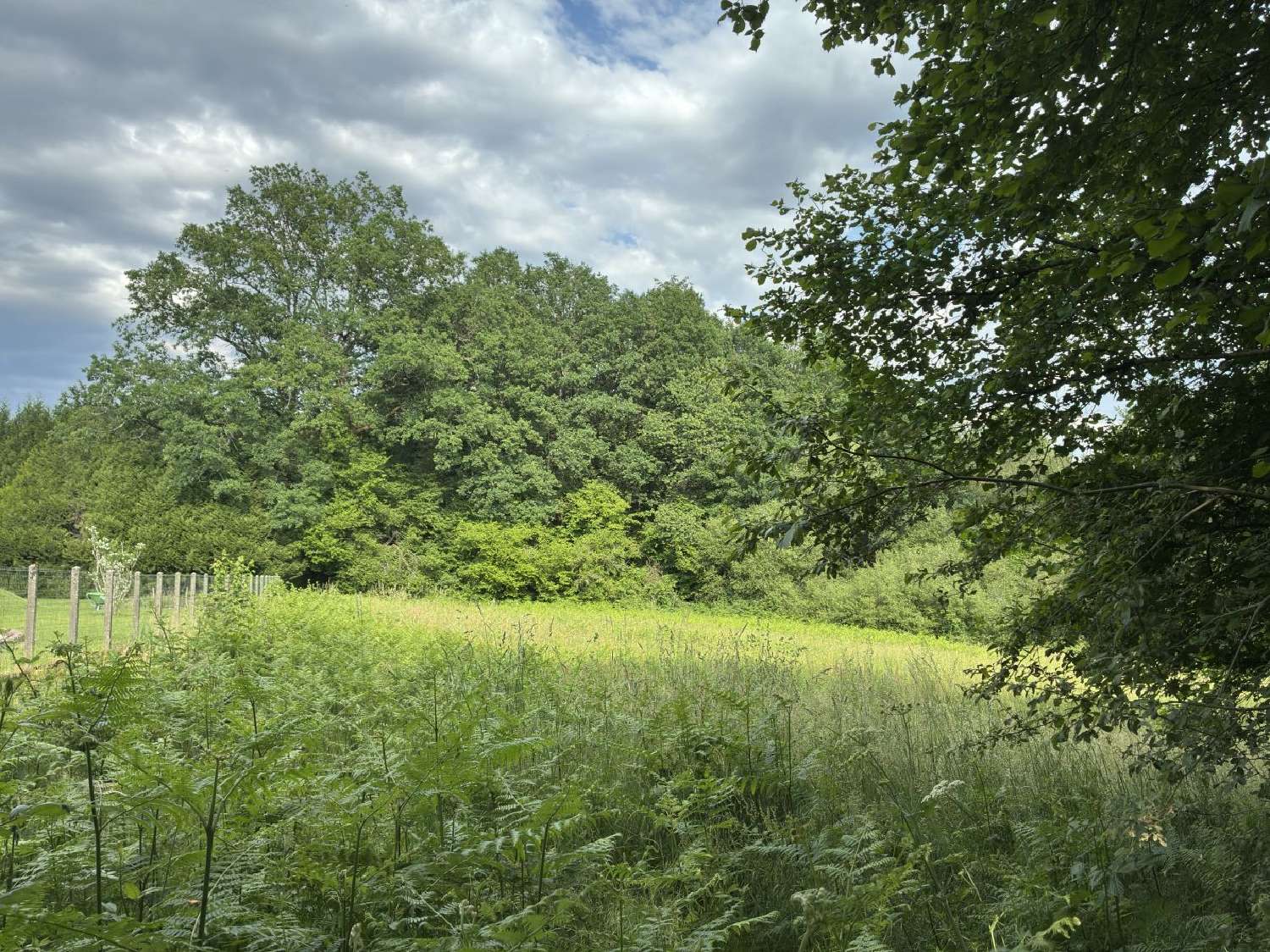  for sale house Cheissoux Haute-Vienne 2
