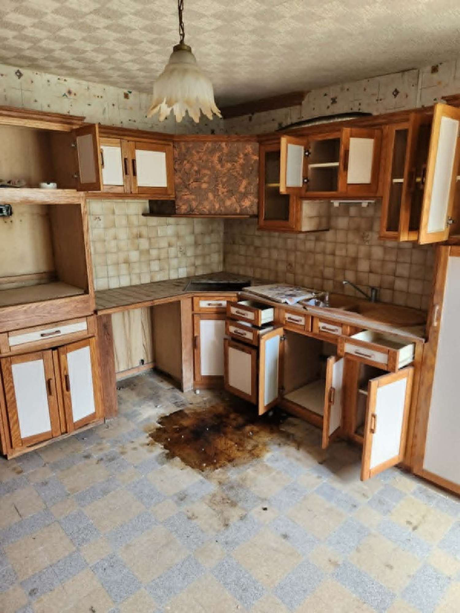  kaufen Haus Chevillon Haute-Marne 4