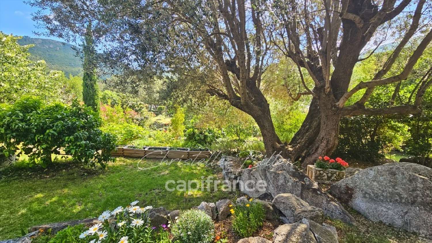 te koop huis Conca Corse-du-Sud 2