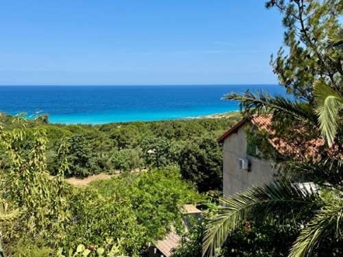  kaufen Haus Corbara Haute-Corse 2
