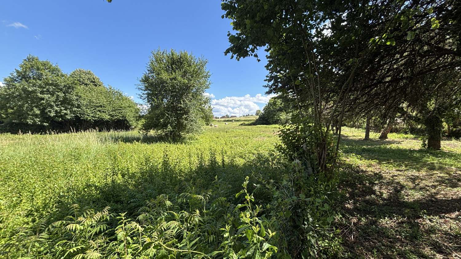  à vendre maison Corbelin Isère 3