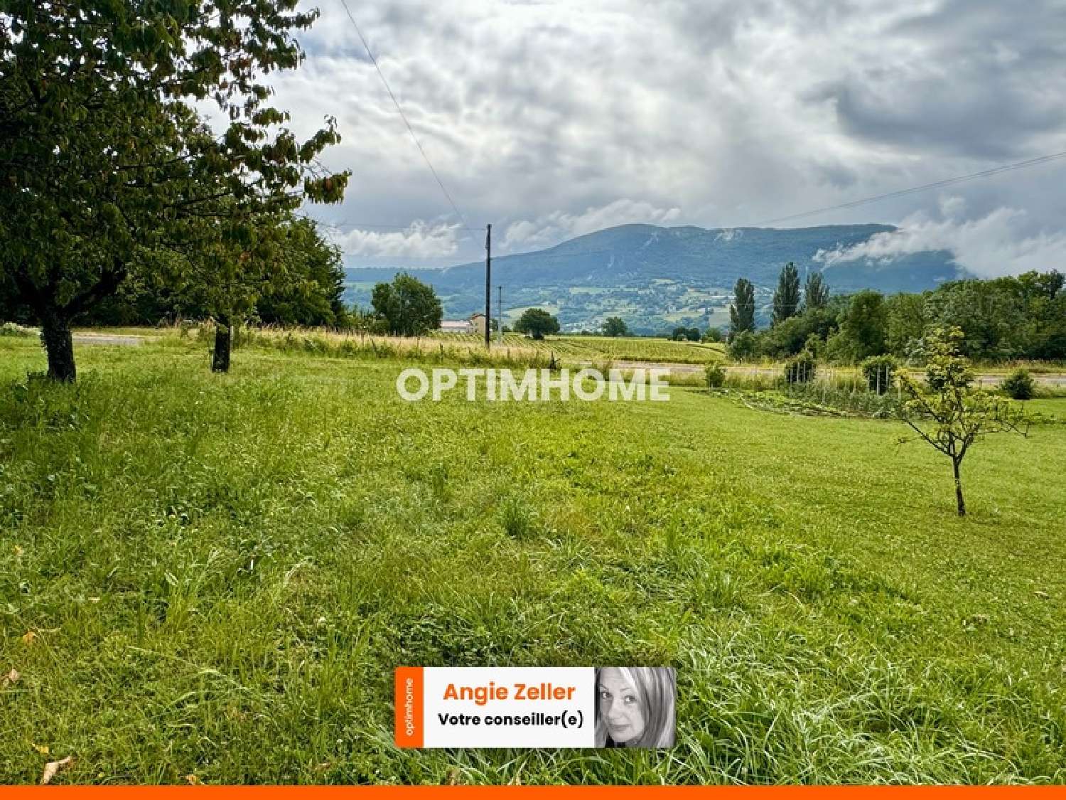 for sale house Corbonod Ain 4