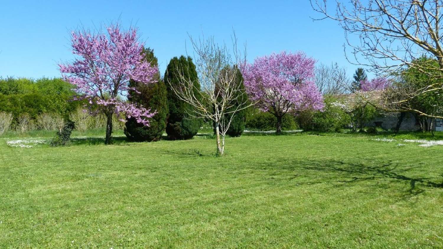 for sale house Courcôme Charente 2