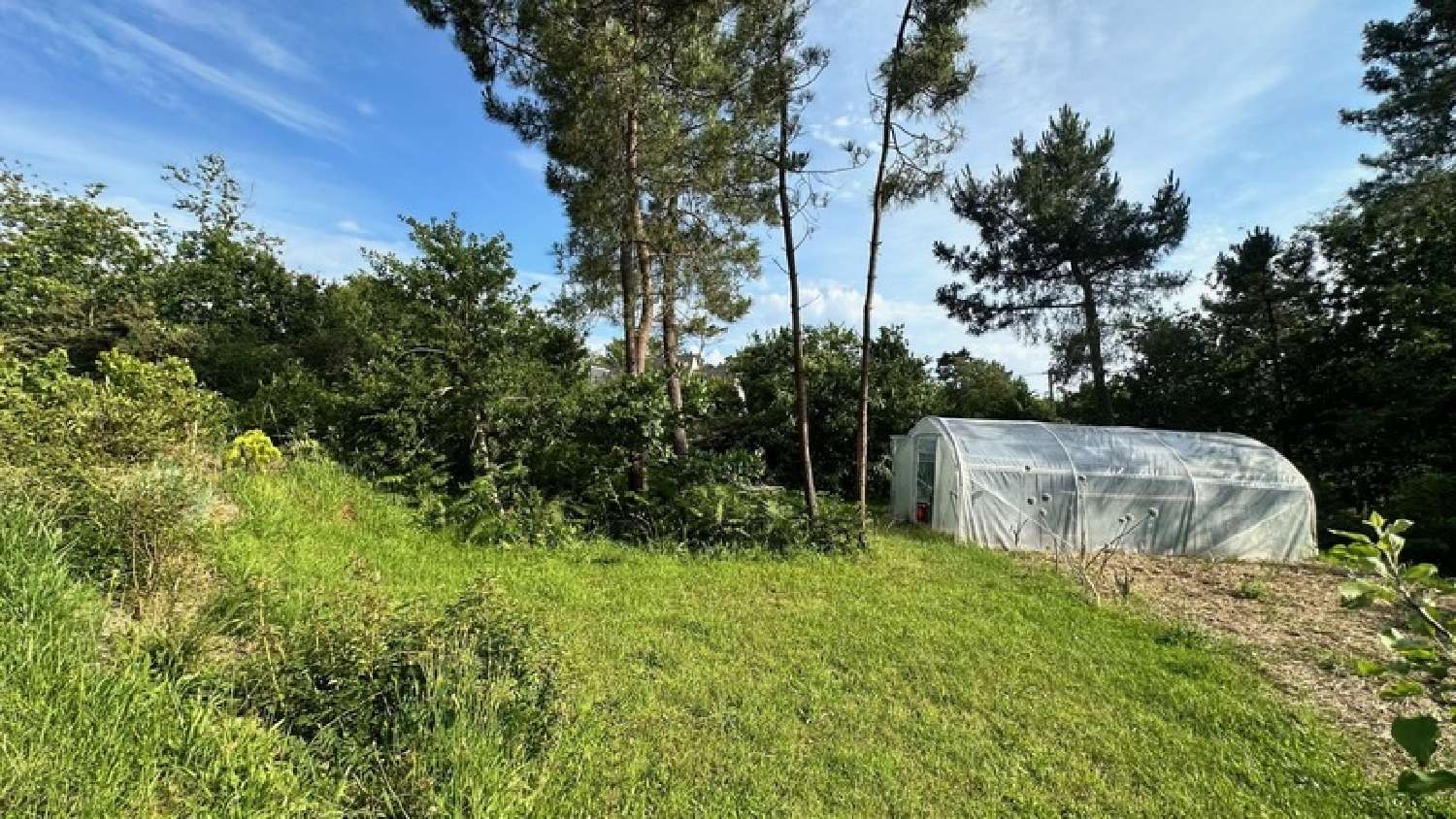  for sale house Crozon Finistère 7