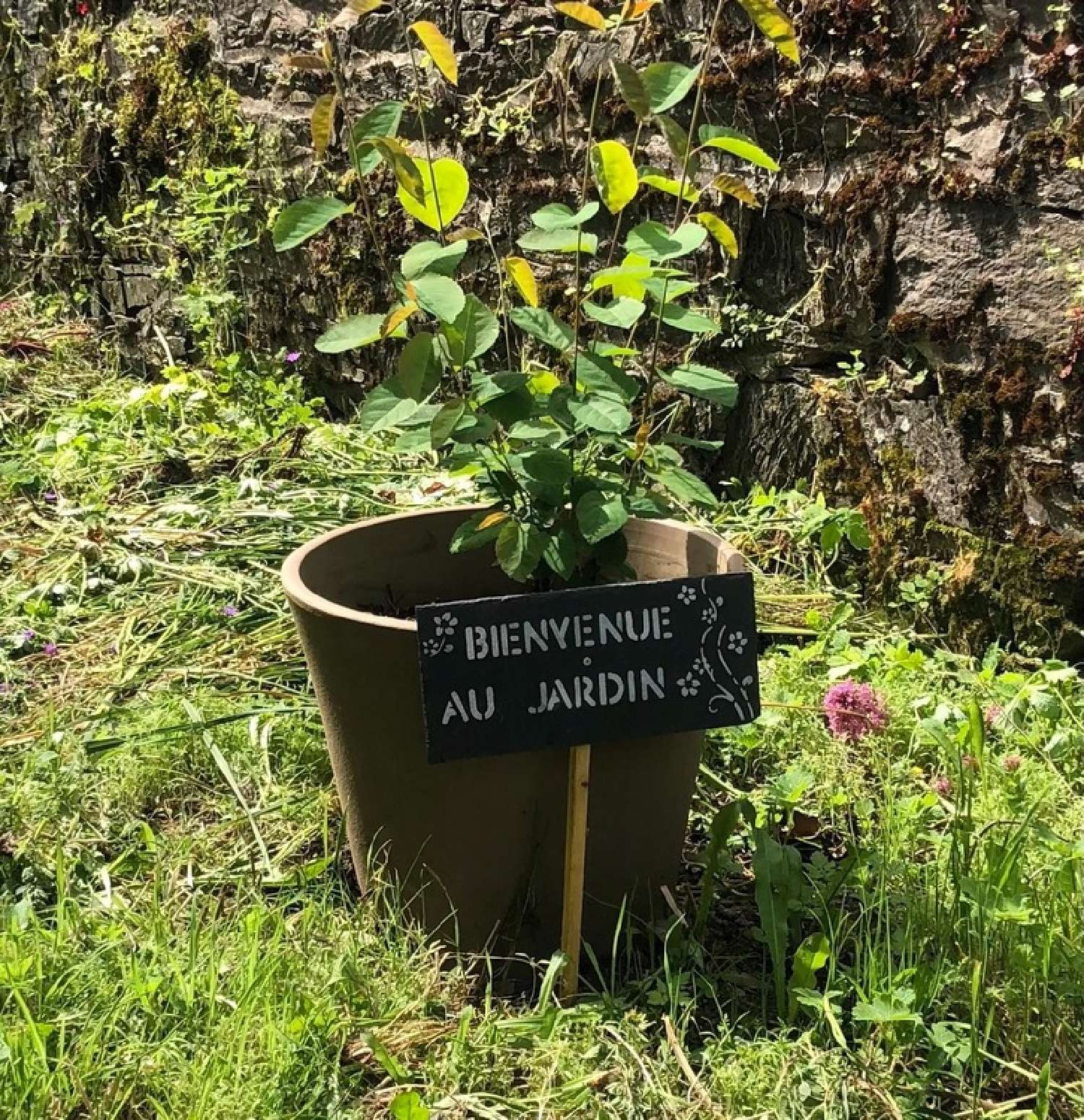 te koop huis Culey-le-Patry Calvados 3