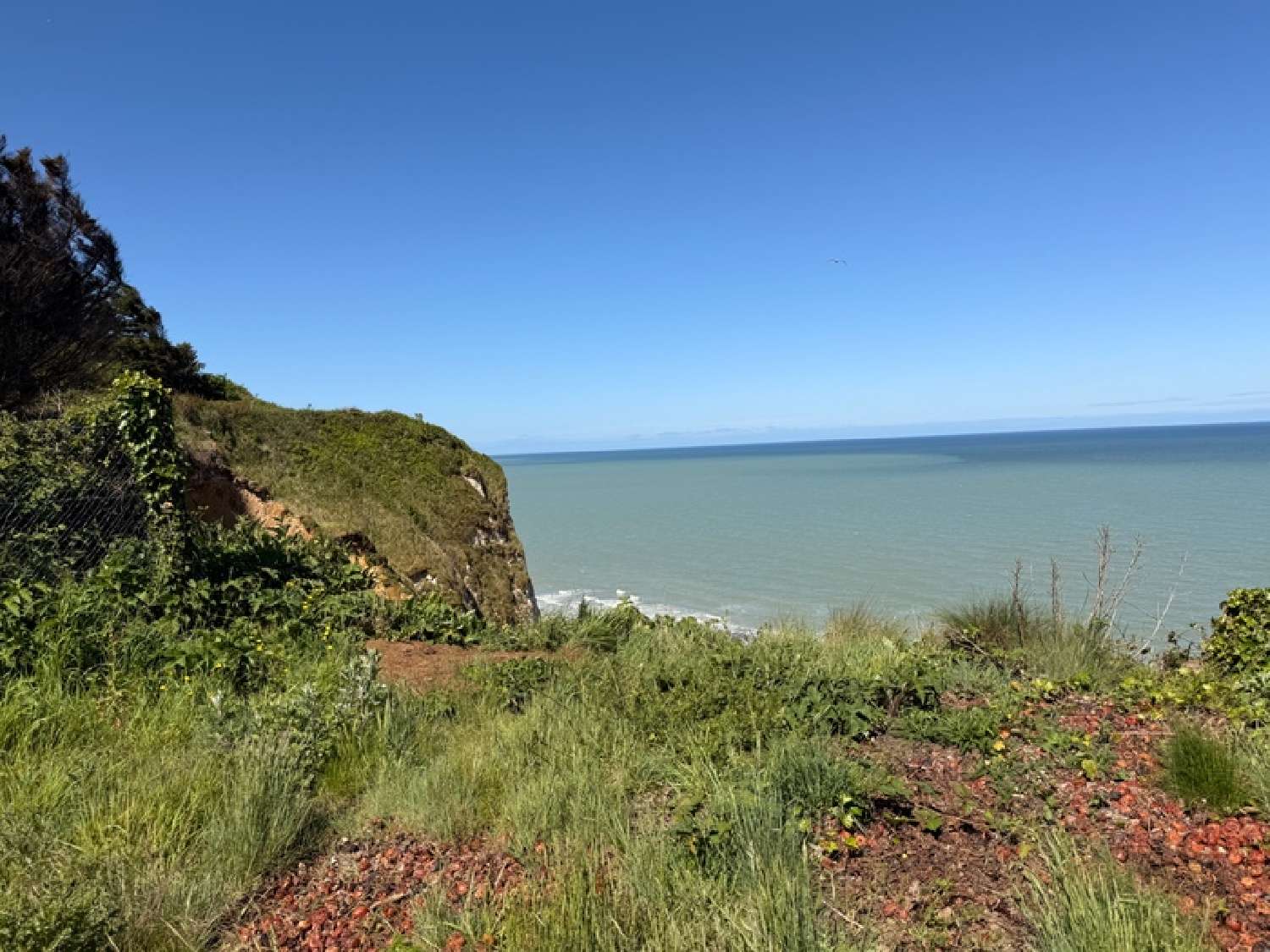  à vendre maison Dieppe Seine-Maritime 3