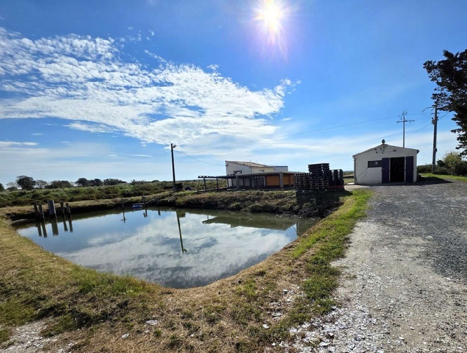 for sale house Dolus-d'Oléron Charente-Maritime 1