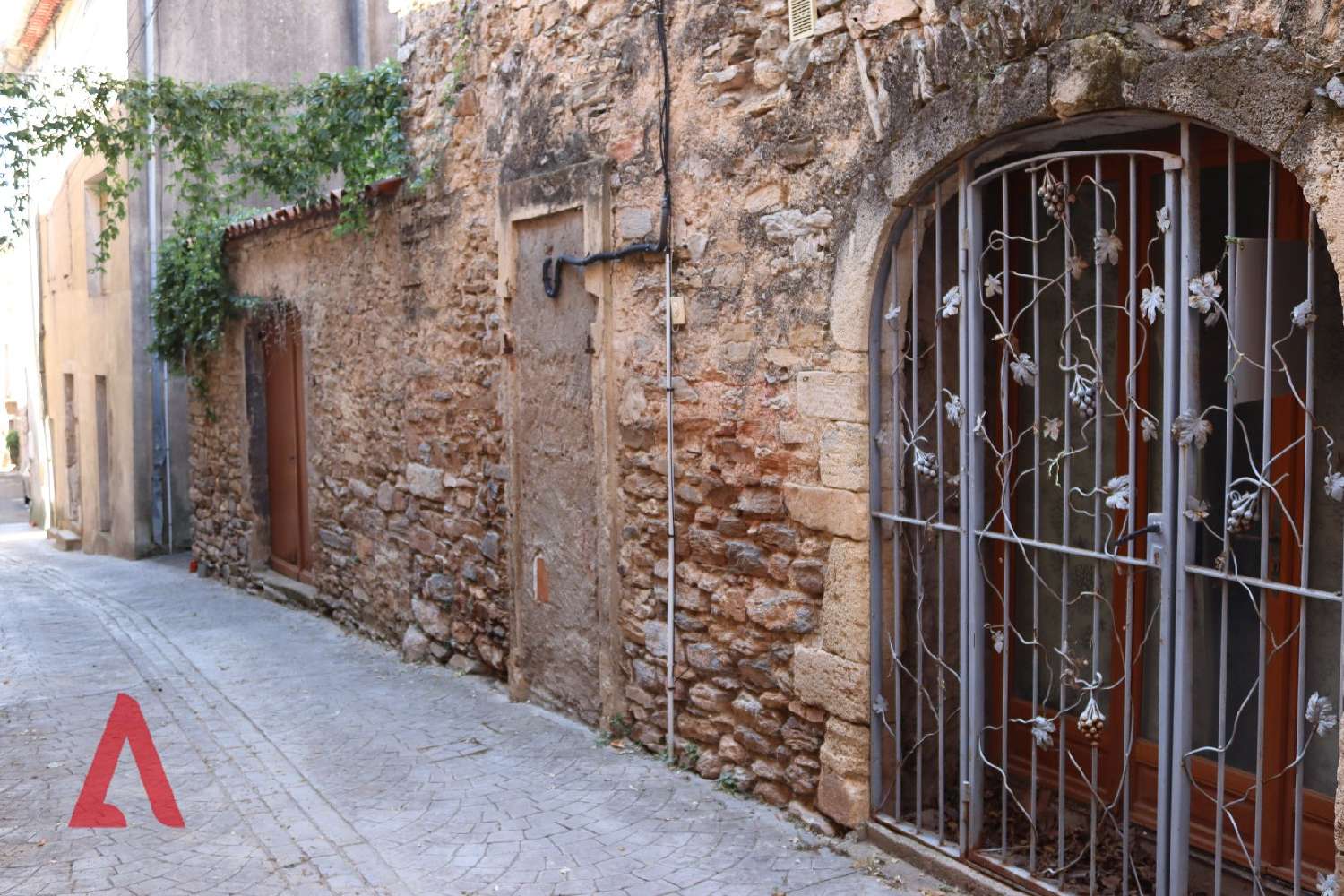  à vendre maison Faugères Hérault 3