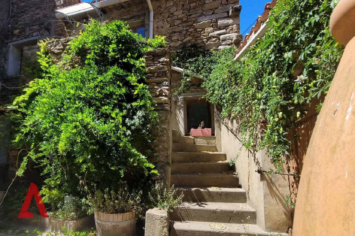  à vendre maison Faugères Hérault 4