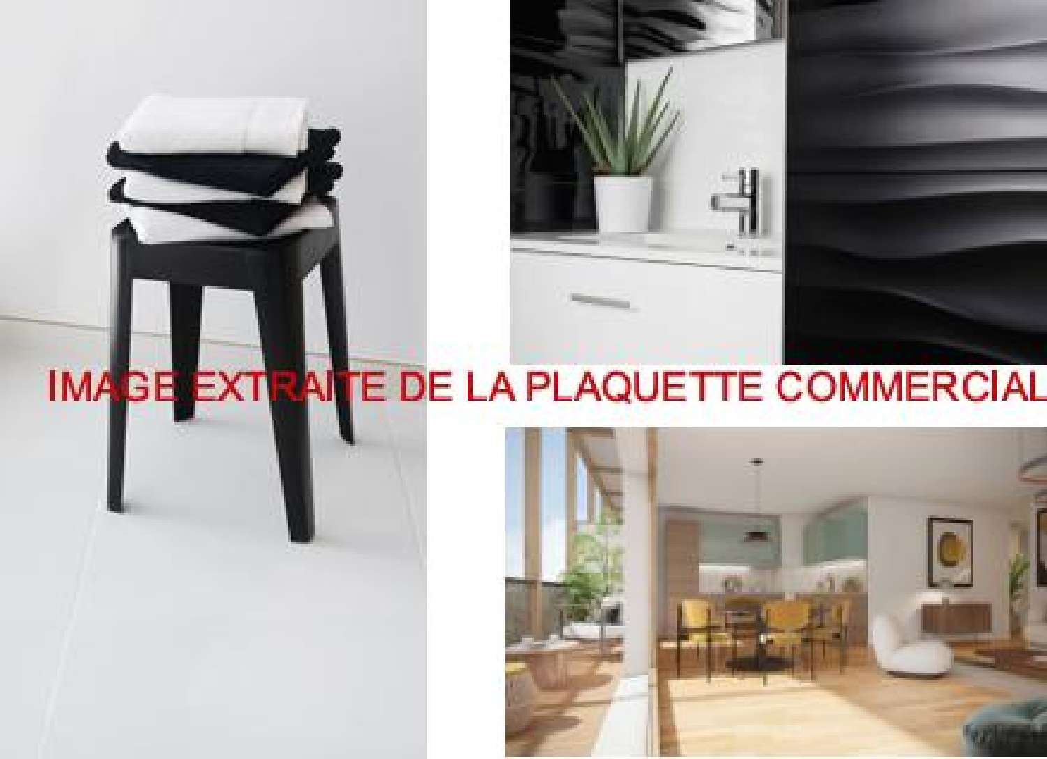  à vendre maison Ferney-Voltaire Ain 4