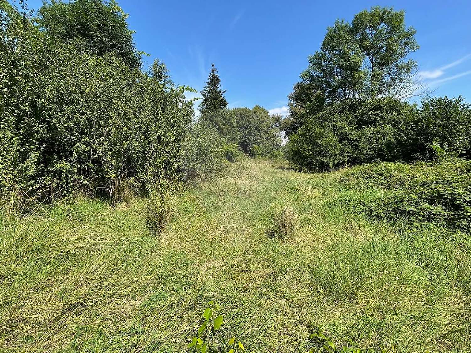 à vendre maison Fleury-sur-Loire Nièvre 5