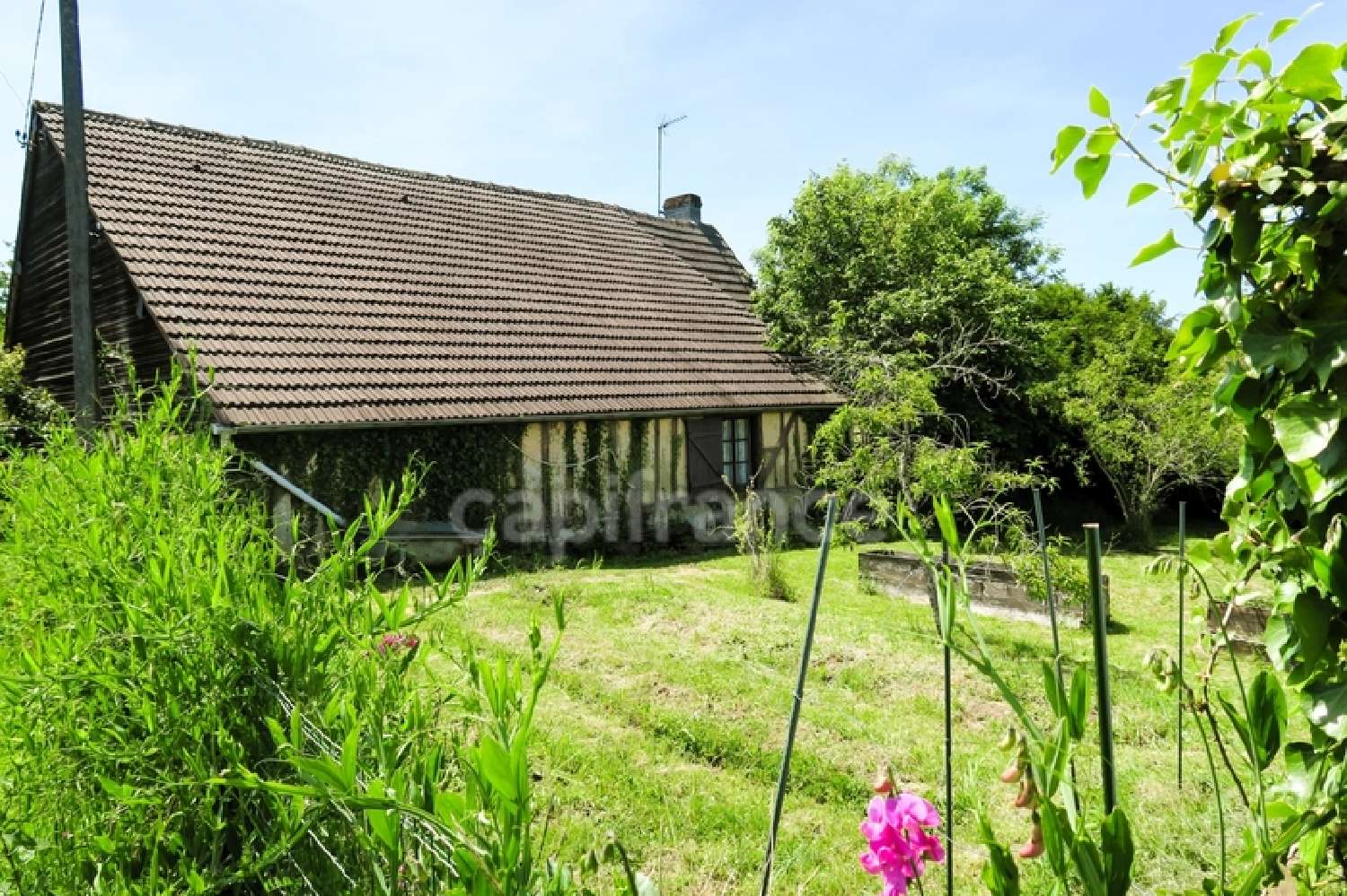à vendre maison Fontaine-Raoul Loir-et-Cher 2