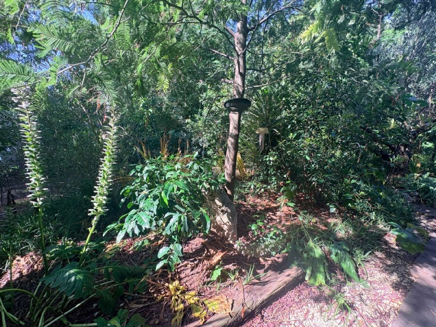  à vendre maison Fréjus Var 3