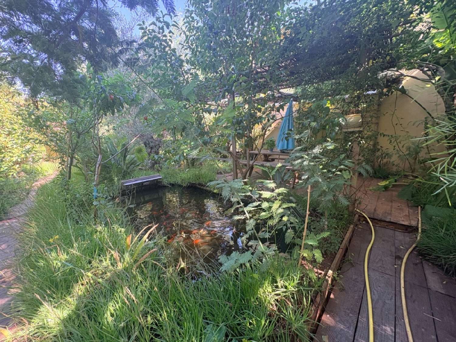  à vendre maison Fréjus Var 4