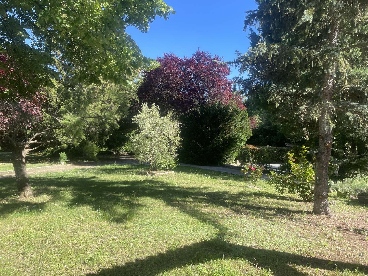 te koop huis Gargas Vaucluse 5