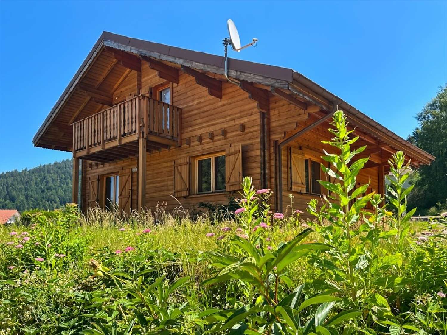  te koop huis Gérardmer Vogezen 2