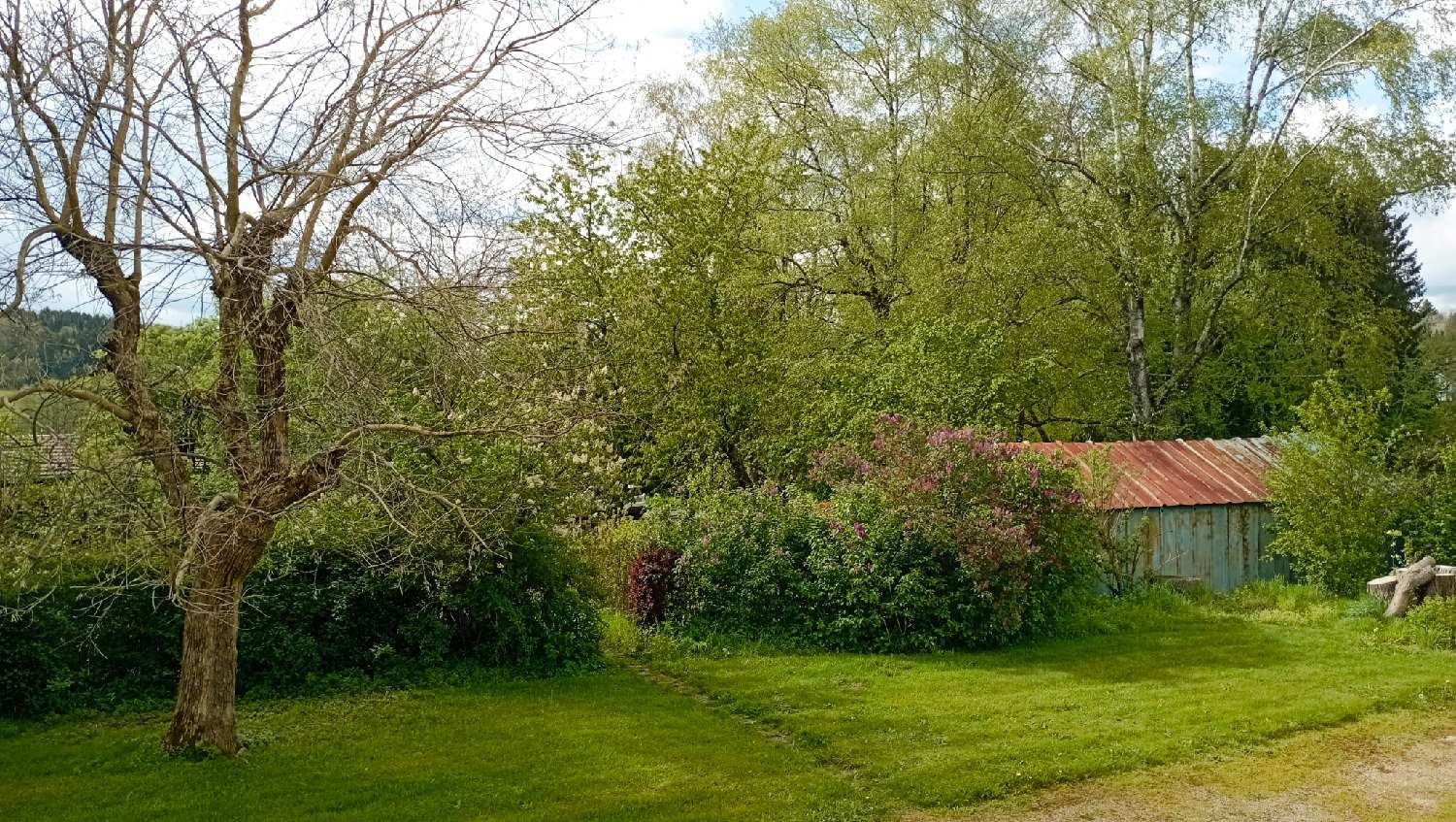  à vendre maison Gerbépal Vosges 3