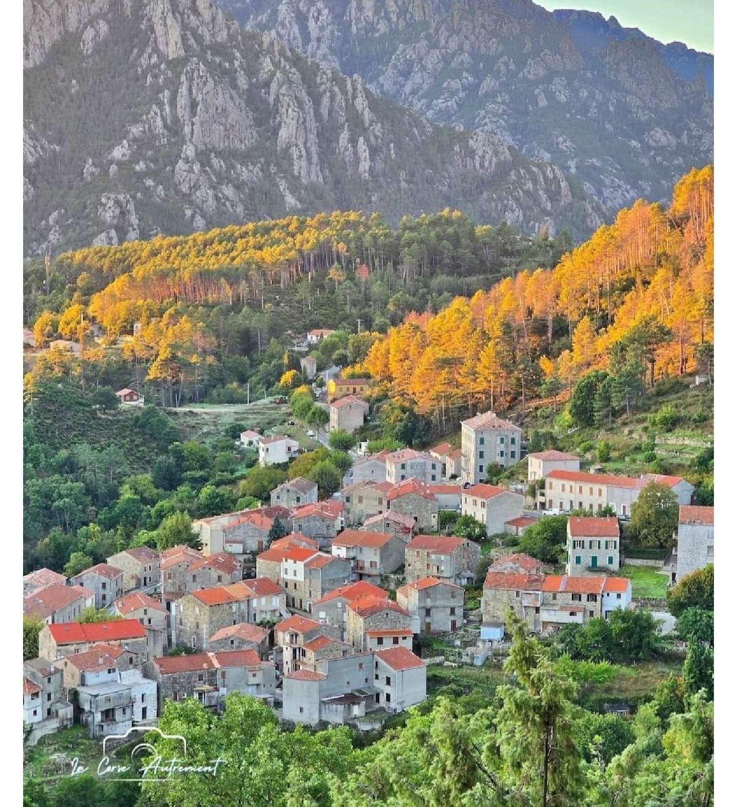  te koop huis Ghisoni Haute-Corse 1