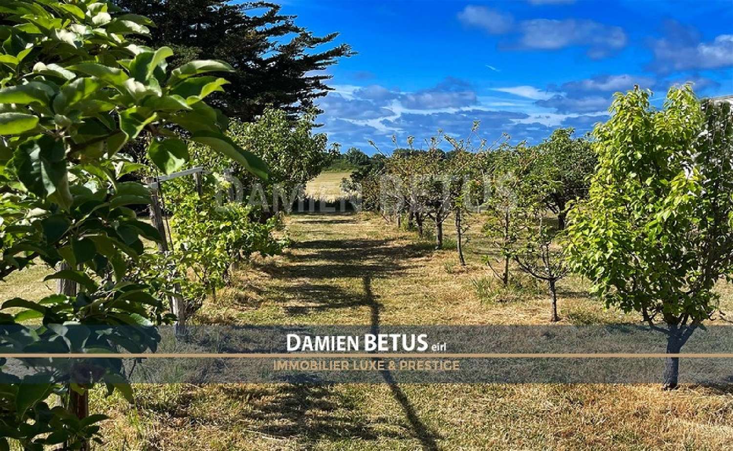  à vendre maison Givrand Vendée 5