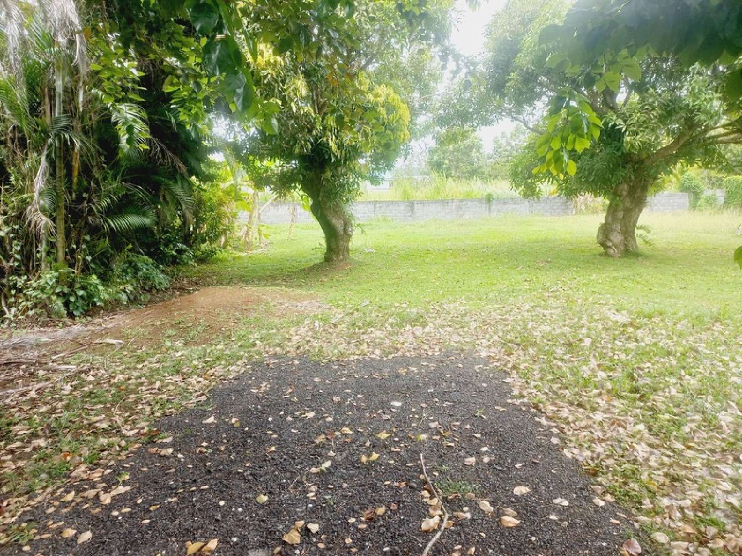te koop huis Goyave Guadeloupe 2