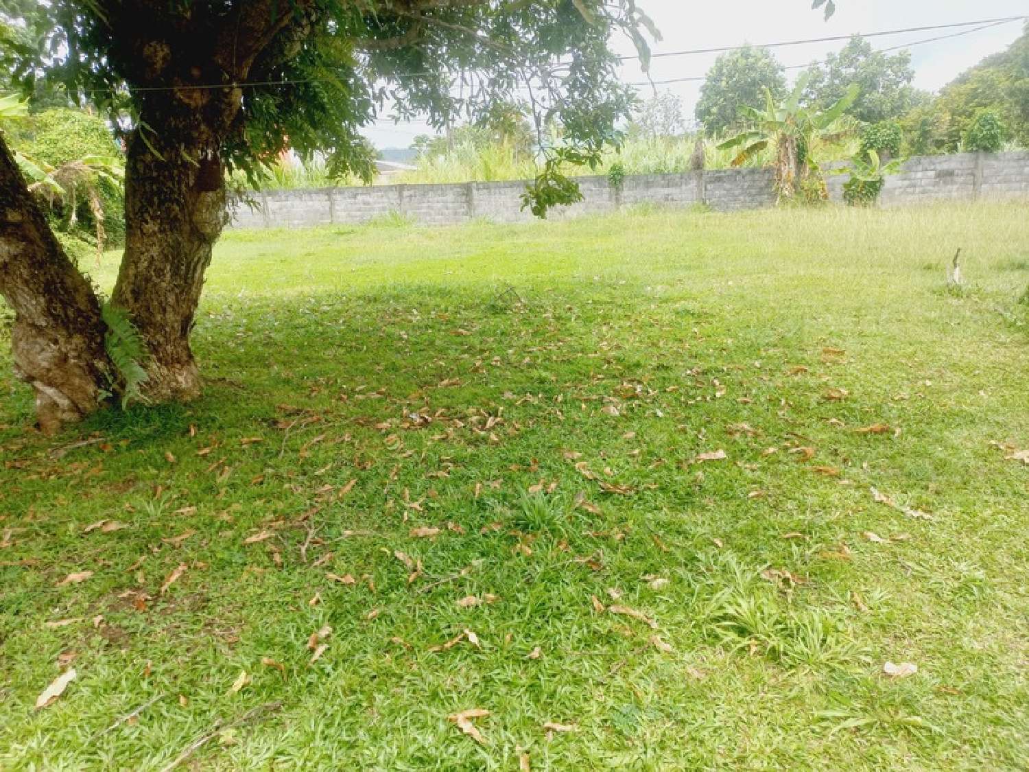 te koop huis Goyave Guadeloupe 3