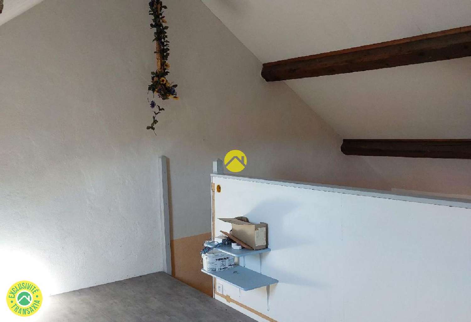 te koop huis Hyds Allier 5