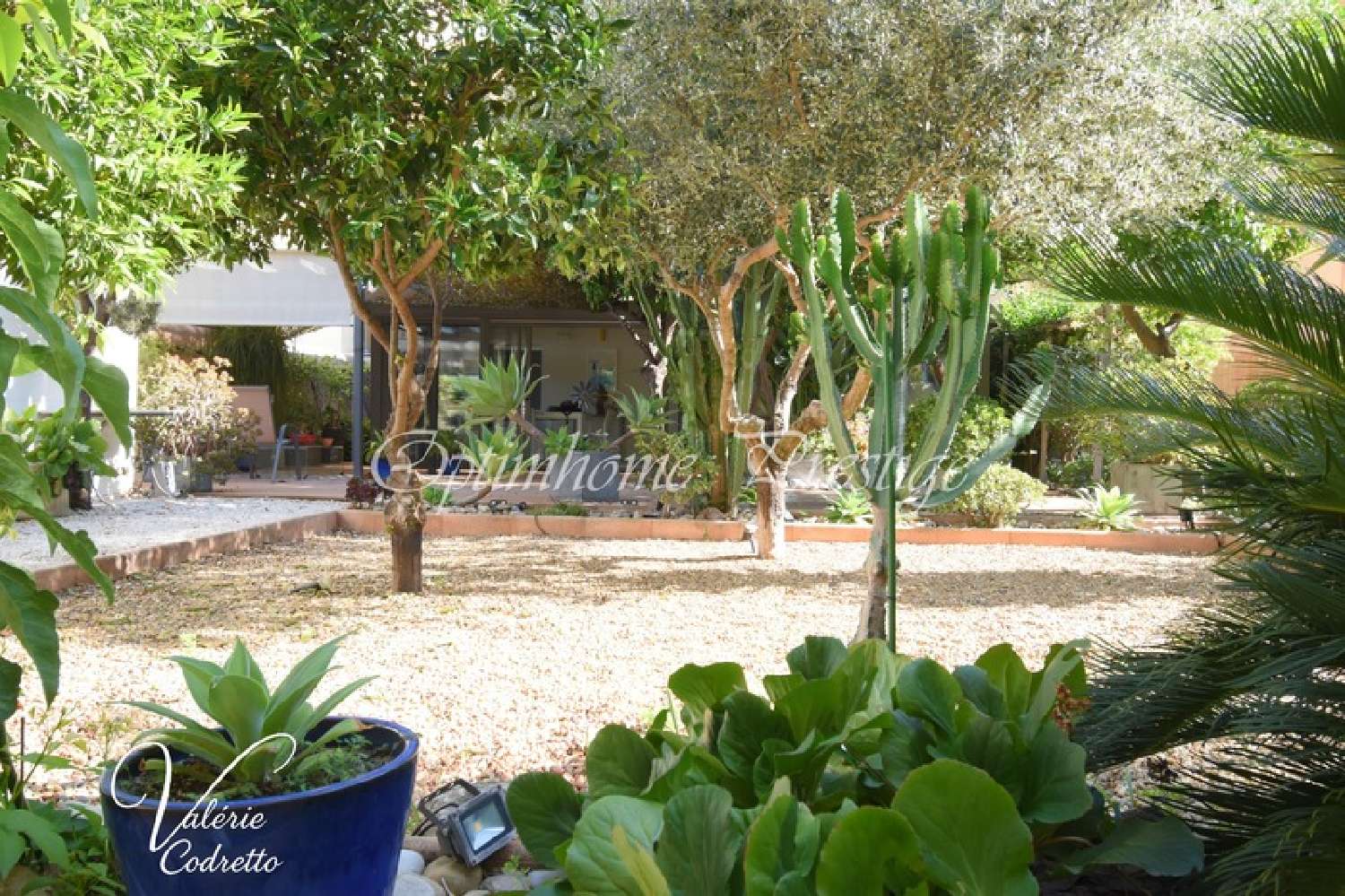  à vendre maison Hyères Var 5