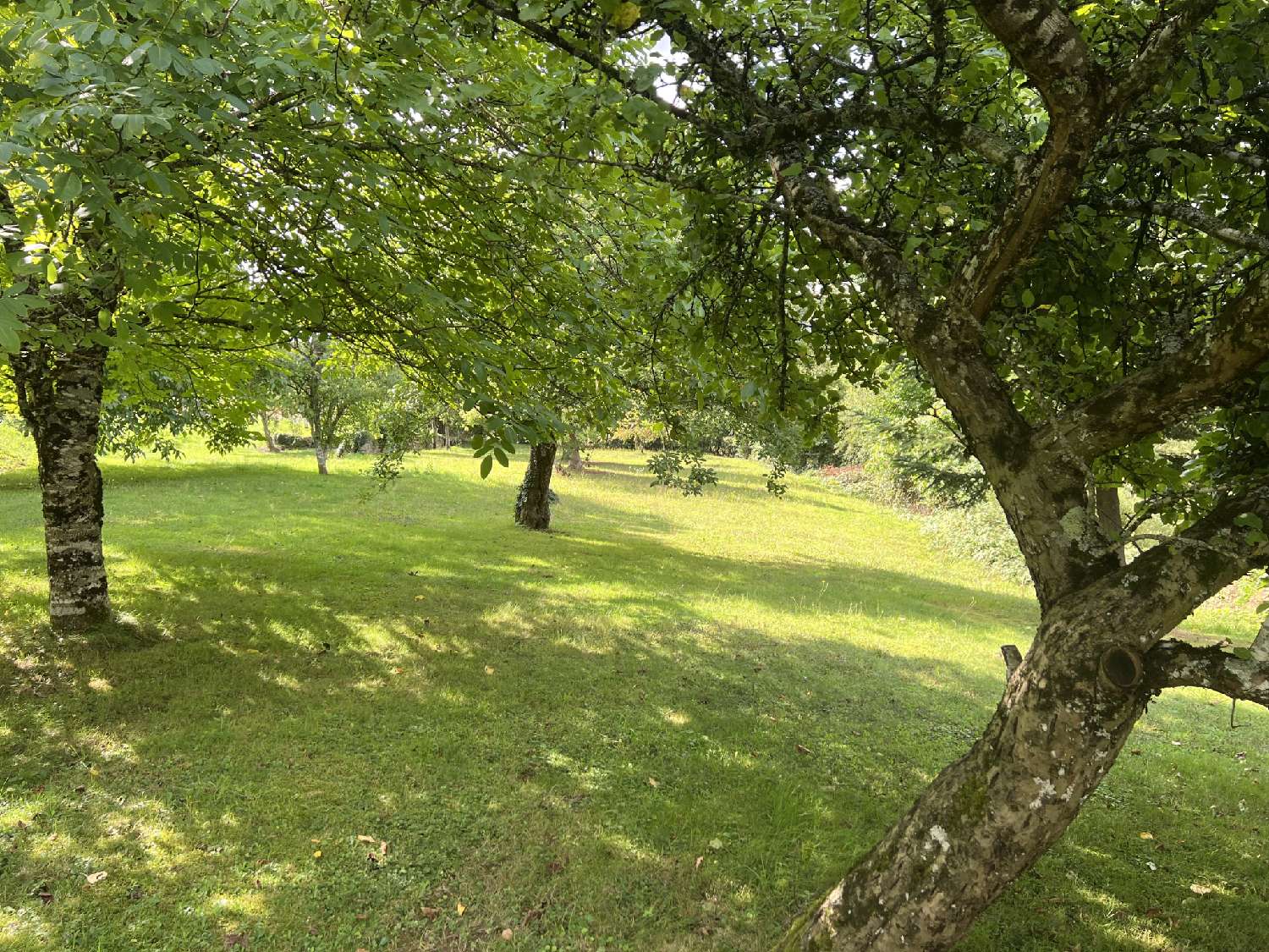 kaufen Haus L'Isle-sur-le-Doubs Doubs 2