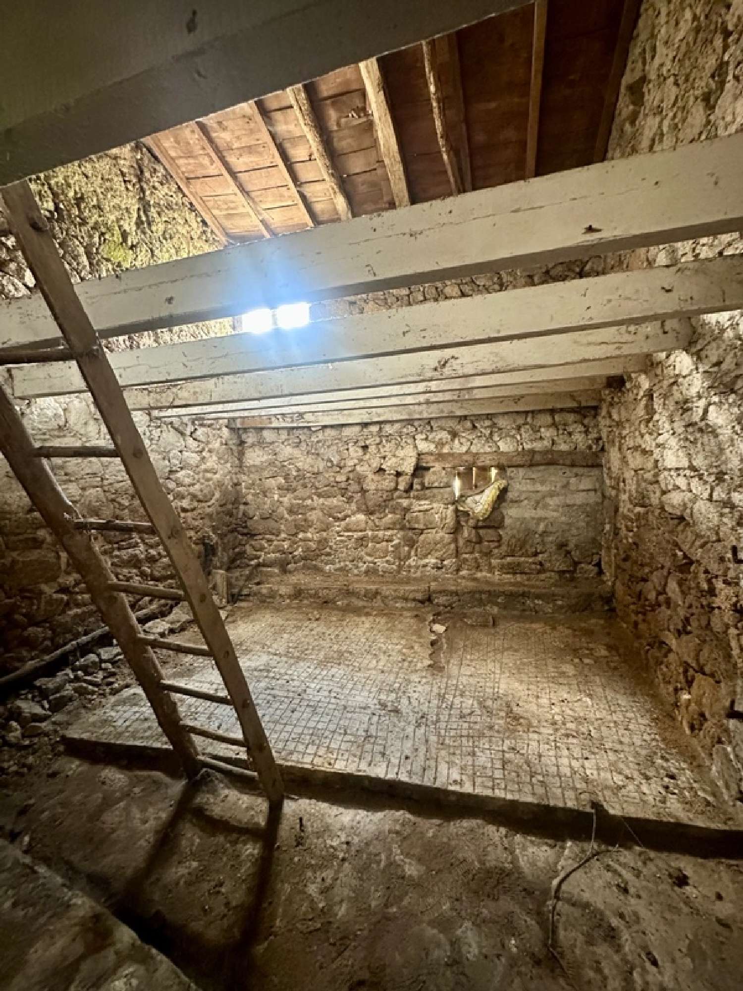  kaufen Haus La Chapelle-Largeau Deux-Sèvres 5