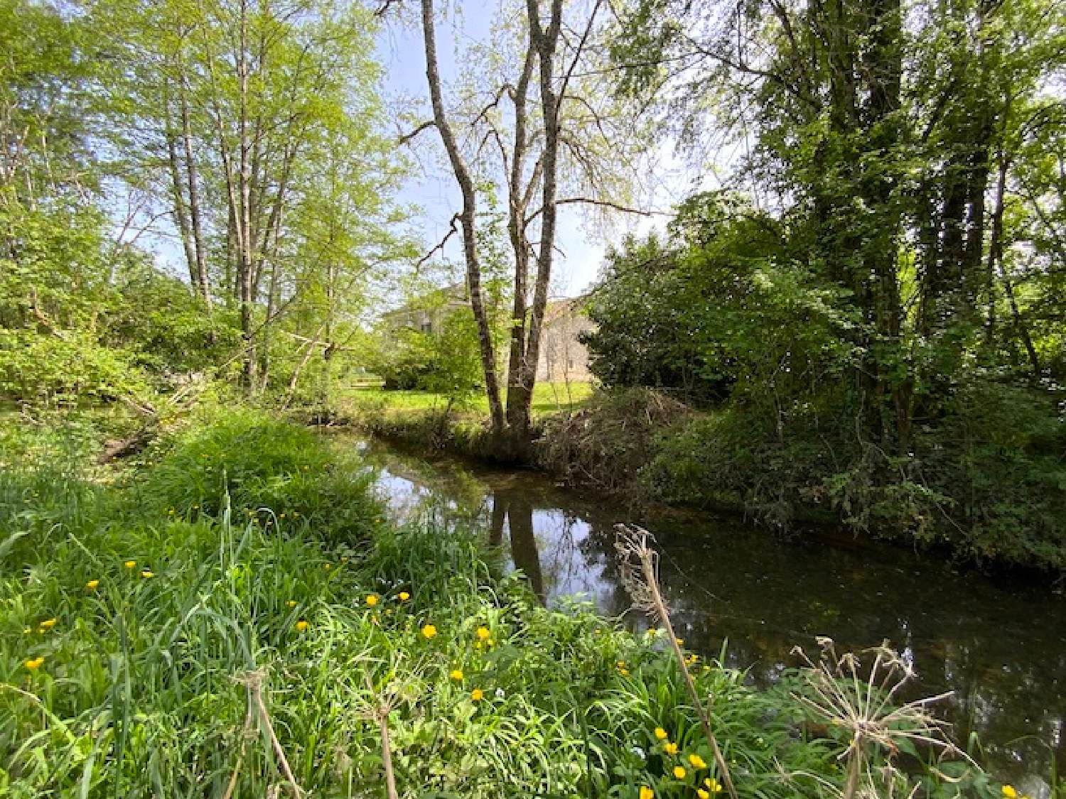 for sale house La Chapelle-Faucher Dordogne 5