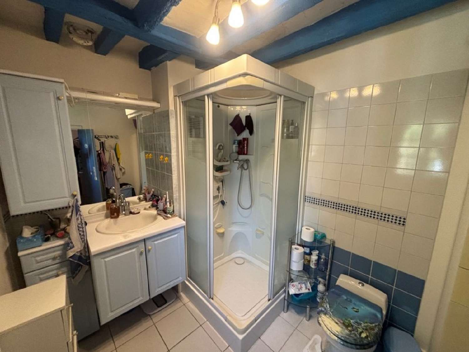 à vendre maison La Ferté-sous-Jouarre Seine-et-Marne 6