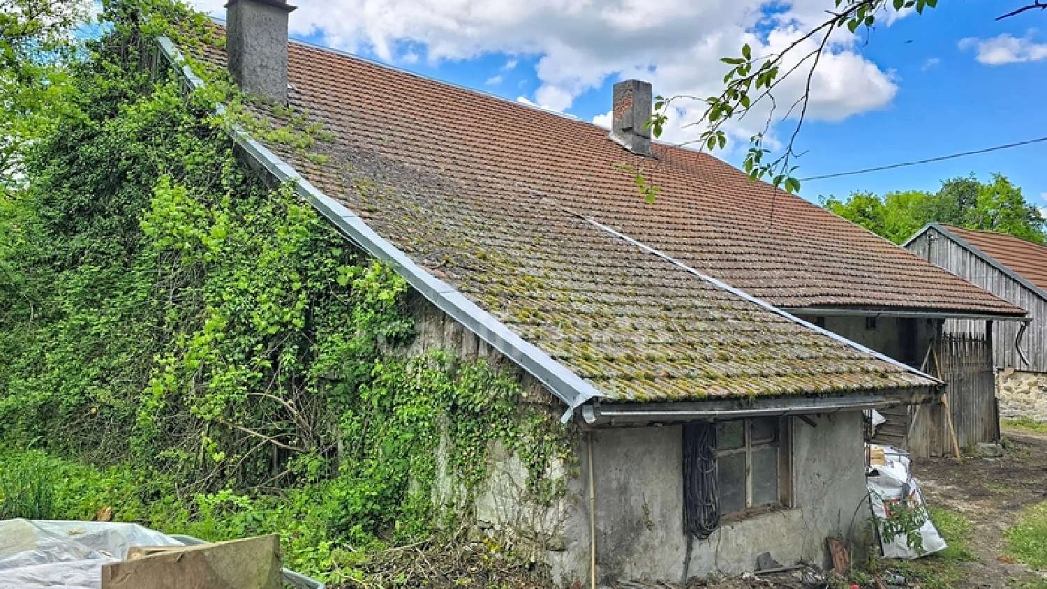  te koop huis La Roche-sur-Foron Haute-Savoie 3