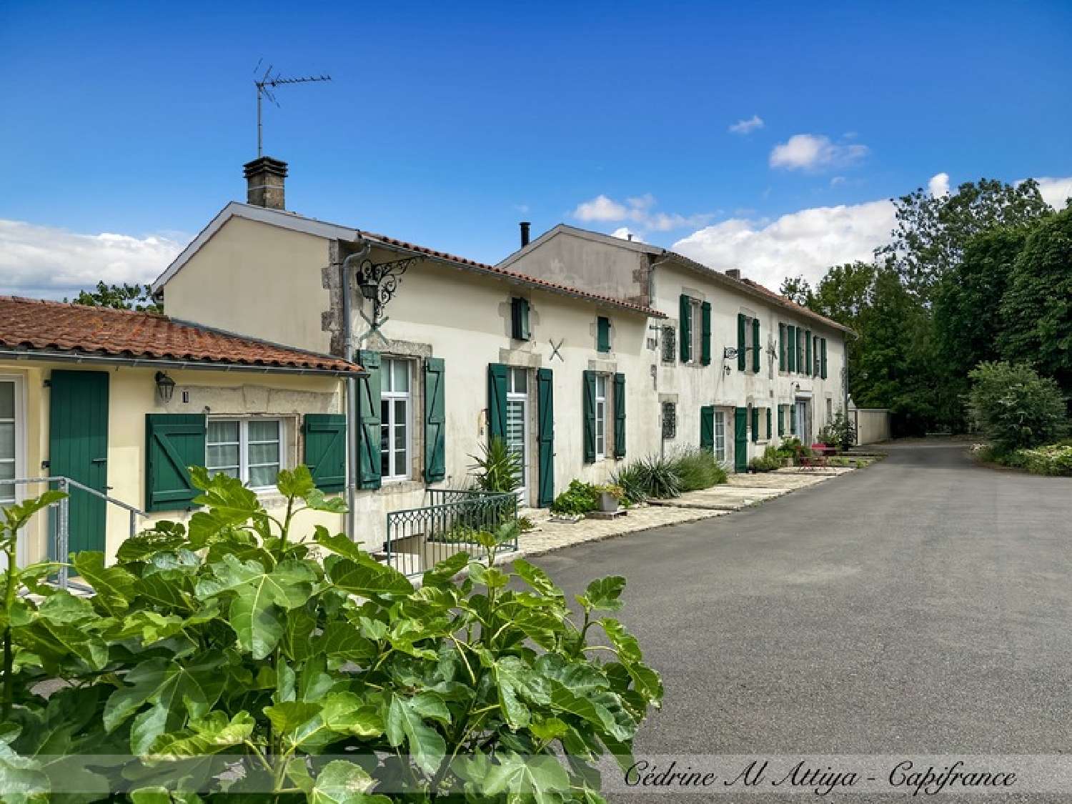 for sale house La Rochelle Charente-Maritime 5
