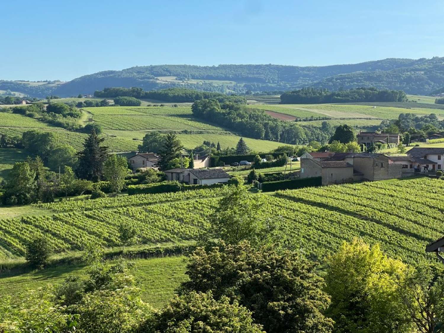  à vendre maison Lacenas Rhône 5