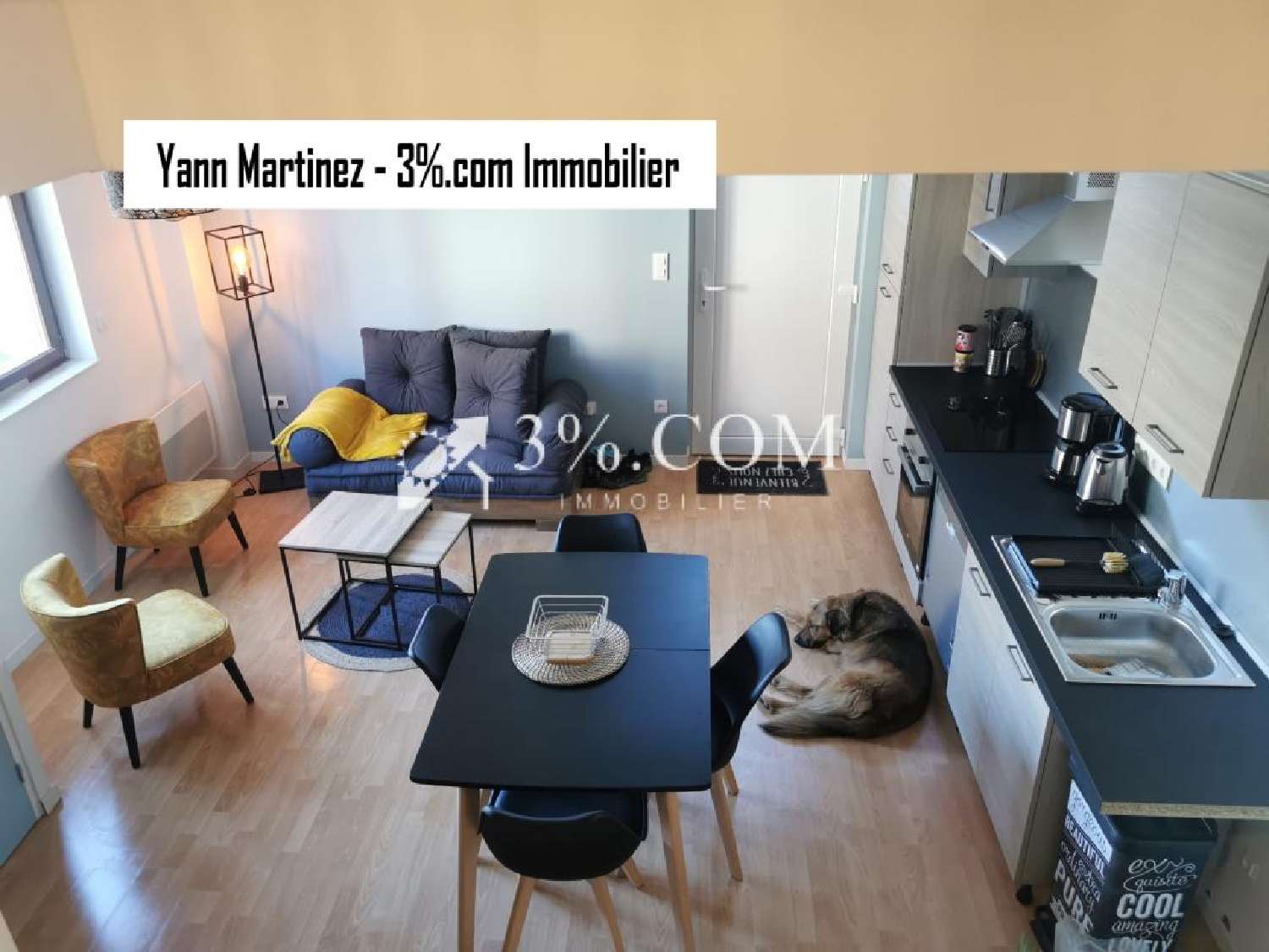  for sale house Lambersart Nord 1
